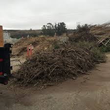 Yard Debris Removal example 2